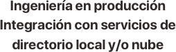 Ingeniería en producción
Integración con servicios de directorio local y/o nube